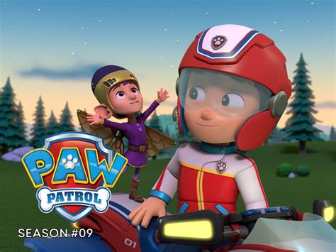 paw patrol torrentz|paw patrol season 9 torrent.
